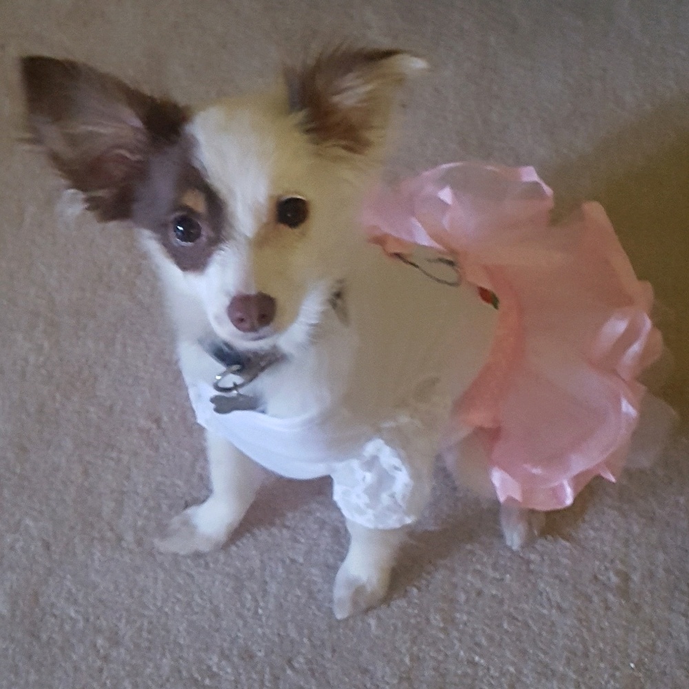 Independent Jewelry Sales